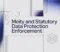 MeitY and Statutory Data Protection Enforcement MeitY and Statutory Data Protection Enforcement